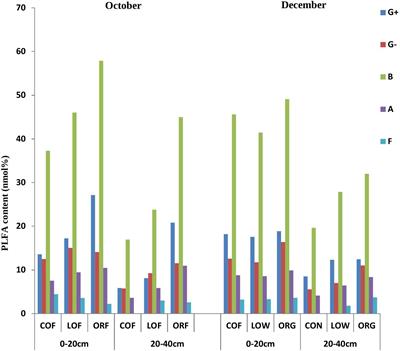 Agricultural soil physico-chemical parameters and microbial abundance and diversity under long-run farming practices: A greenhouse study